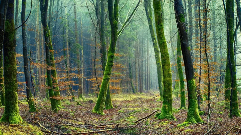 conservazione ambientale turismo sostenibile