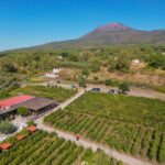 agriturismo Vesuvio Inn