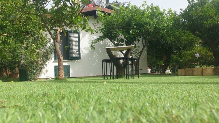 Duplex House
