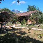 agriturismo Crete Gialle