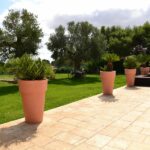 Agriturismo Masseria Alberotanza