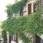 agriturismo Marilena la Casella