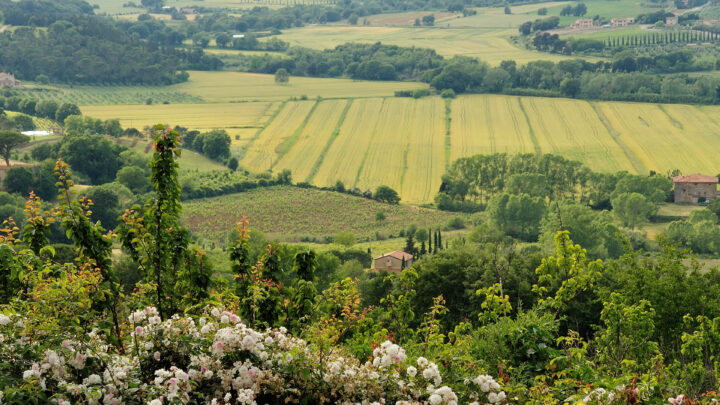 agriturismo La Prugnola