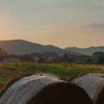 agriturismo Verdita