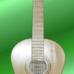 DM Guitars