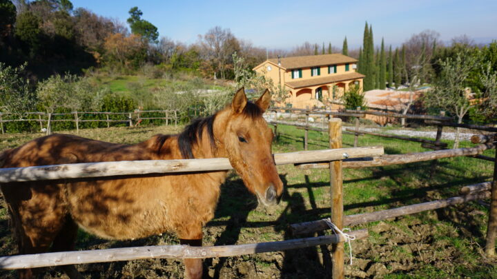 agriturismo Regno di Toscana