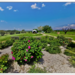 agriturismo I Mori Gelsi – Fattoria Spinola