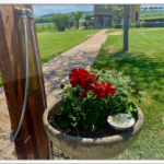 agriturismo I Mori Gelsi – Fattoria Spinola