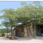 agriturismo I Mori Gelsi – Fattoria Spinola
