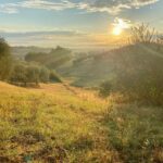 agriturismo Metina