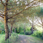 agriturismo Colle Surya