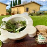 agriturismo Metina