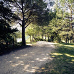 agriturismo Colle Surya