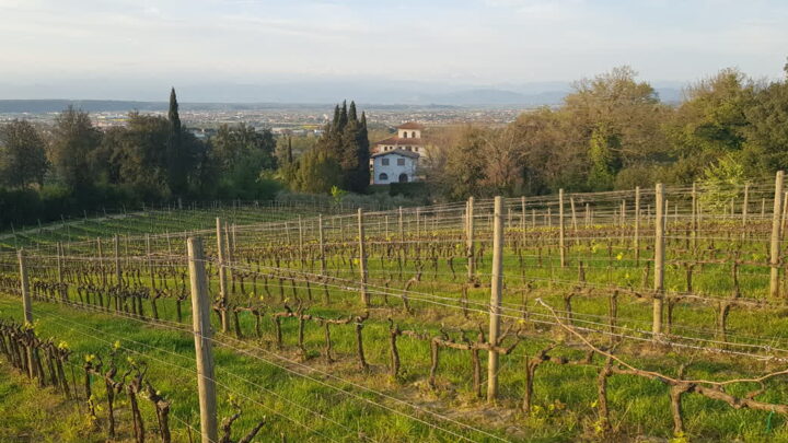 agriturismo Cascina Cipressa