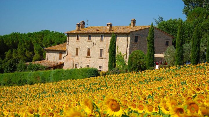 agriturismo Casale dei Frontini