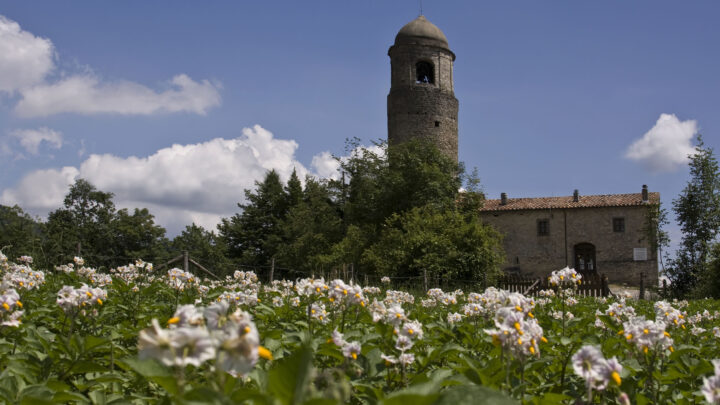 agriturismo Montagna Verde