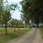 agriturismo Cantagalli