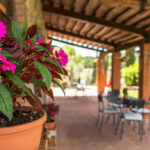 agriturismo Pian del Vescovo