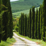 agriturismo Podere Campaini