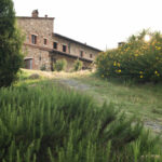 agriturismo Podere Campaini
