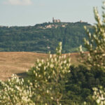 agriturismo Podere Campaini
