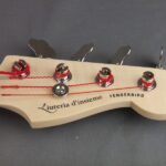 Liuteria d’Insieme