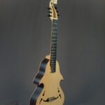 Liuteria d’Insieme