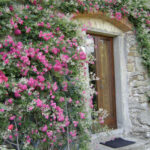 agriturismo Fattoria di Pietrabuona