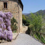 agriturismo Fattoria di Pietrabuona