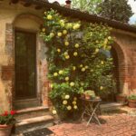 agriturismo Le Cantine