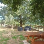 Agriturismo Cisogna