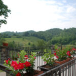 Agriturismo Cavallo Grigio