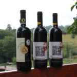 Agriturismo Cavallo Grigio