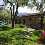 uliveto-nel-parco-agriturismo-11
