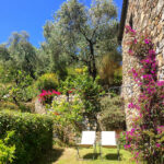 uliveto-nel-parco-agriturismo-22