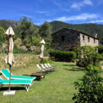 uliveto-nel-parco-agriturismo-24
