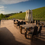 agriturismo Vitae di Langa