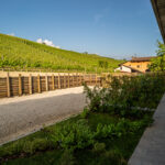 agriturismo Vitae di Langa