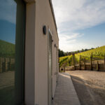 agriturismo Vitae di Langa