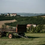Borgo Casa Scaparone