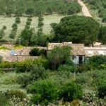 agriturismo Castelluzzo