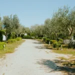 Agrimacarri