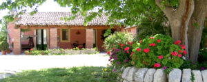 foto0