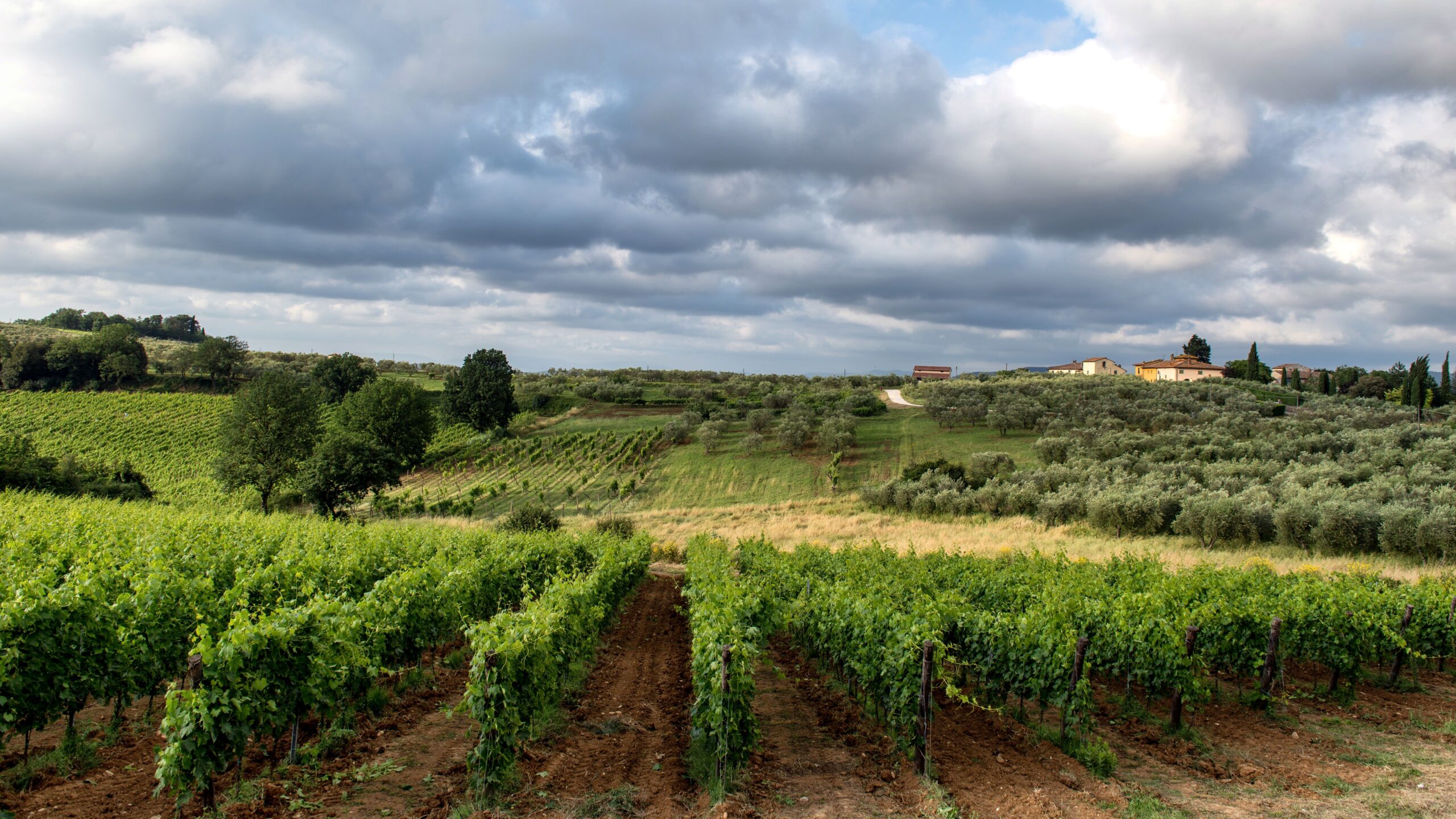 tsi-Un weekend sostenibile in toscana